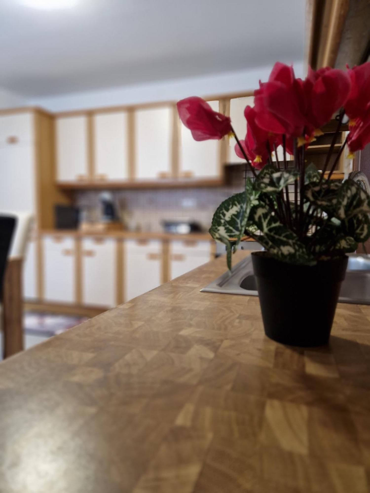 Apartment Lara Sankt Peter am Bichl エクステリア 写真