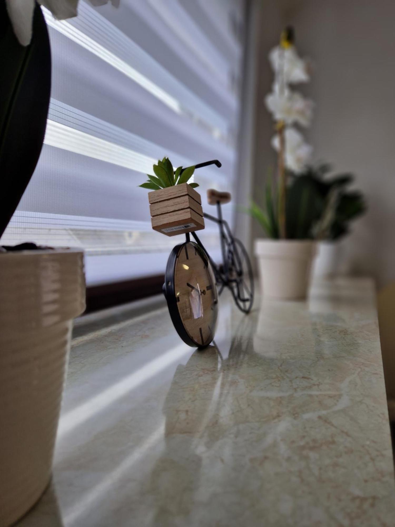 Apartment Lara Sankt Peter am Bichl エクステリア 写真